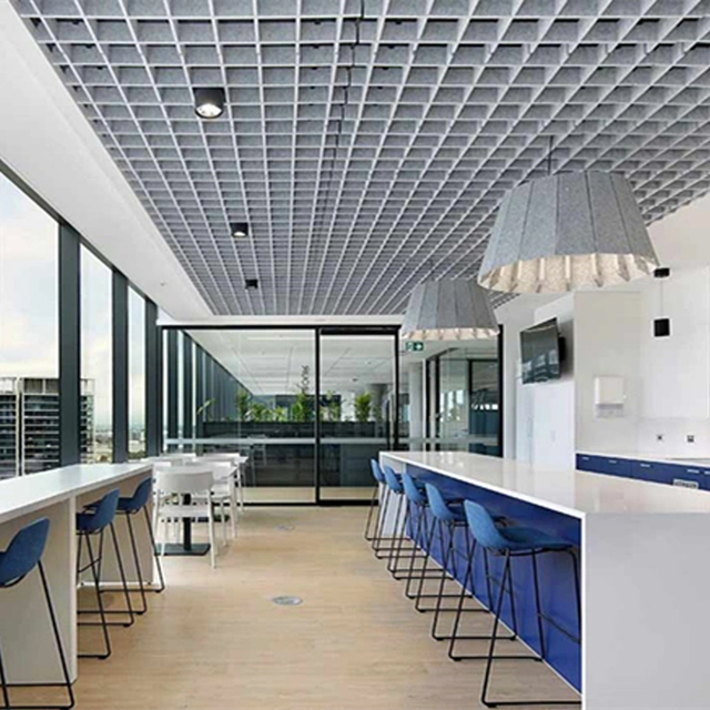 Acoustic Baffles